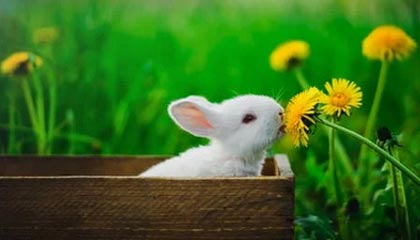 JIU YOU GAME-足球电子竞技联赛启动线上选拔通道，足协举办电竞足球队选拔